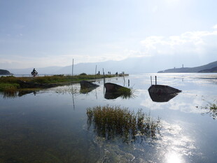 宁静湖面上的几叶扁舟