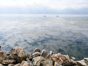海边岩石与辽阔海面