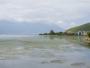 湖畔风光 岸边建筑与水域景色
