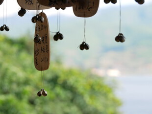风铃摇曳 自然灵动之美