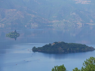 湖中小岛美景如画