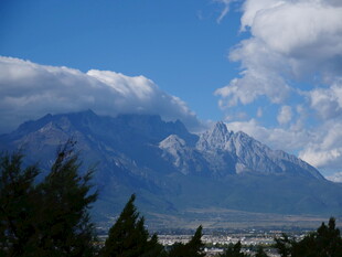 巍峨雪山与葱郁林木景观