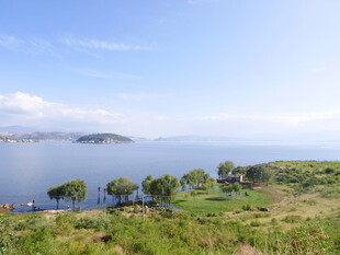 湖畔绿意盎然的美丽风光