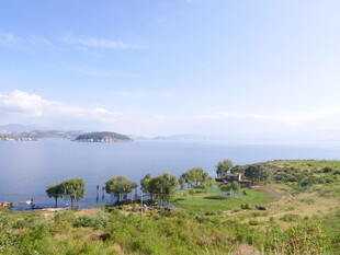 湖畔绿意盎然的美丽景致