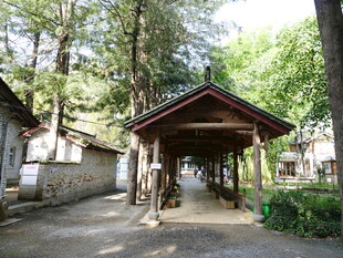 林间古朴长廊 静谧景致