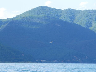 青山傍水的美丽自然景观