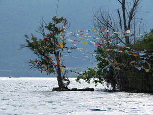 海上装饰树 彩色飘带点缀