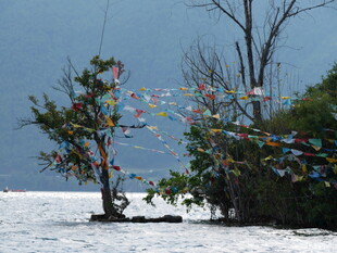 湖畔经幡树 尽显藏地风情