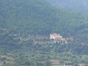 山间独栋建筑隐于葱郁林