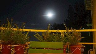 月夜下的绿植与栏杆景观