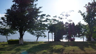 湖畔绿荫下的静谧景致