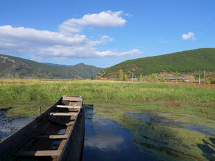 草原湿地中的古朴木船