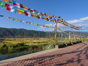 藏区道路旁的五彩经幡