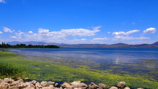 湖畔美景 蓝天白云绿水