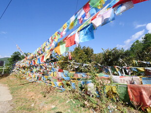 五彩经幡装点乡村小道