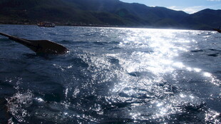 波光粼粼的水面与远山