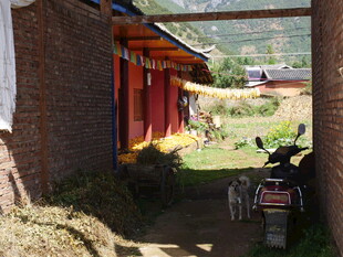 藏式民居小巷中的摩托车