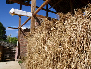 谷堆旁的木质风车