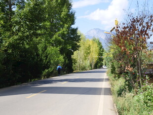 乡村公路骑行风景