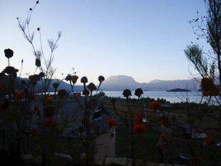 湖畔花丛边的美丽景致