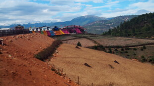田野上多彩帐篷景观