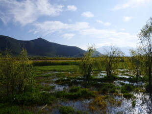 山间湿地风光