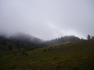 云雾缭绕的山间景色