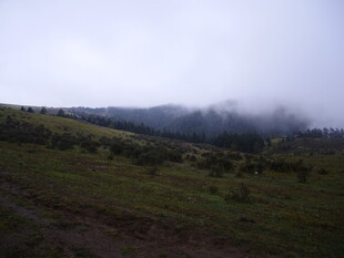 山间云雾缭绕的绿色景致