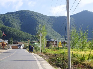 乡村公路旁的宁静村落