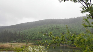 山间雾霭中的自然景致