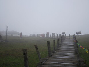 雾中木栈道 朦胧自然景