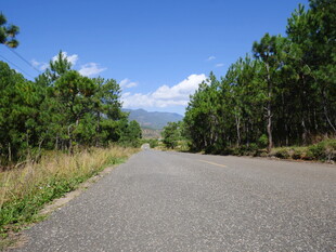 林间公路 通向蓝天白云