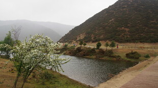 山间河畔的静谧景致