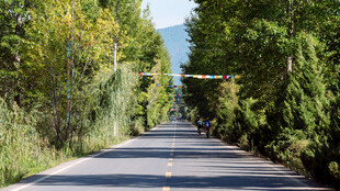 林间公路 秋色宜人