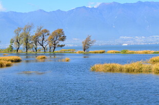 湖畔秋景 水泽与远山相映
