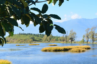 湖畔美景 自然清新风光