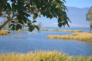 湖畔自然风光美景