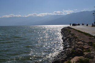 海边公路旁的波光粼粼