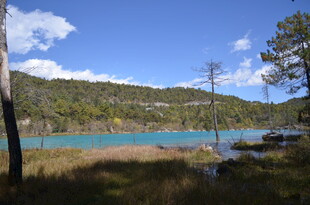 湖畔山林美景