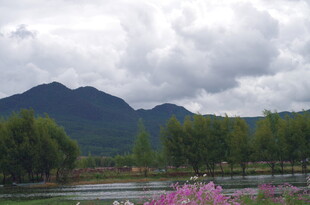 湖畔繁花伴远山美景
