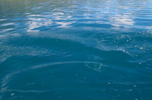 波光粼粼的蓝色水面