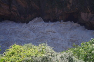 峡谷激流旁的葱郁绿植