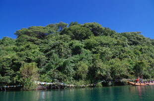 湖畔葱郁山林美景