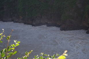 河边绿植与湍急水流景观
