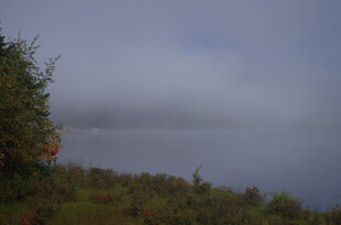 湖畔晨雾中的自然景致