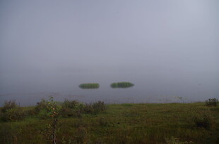 雾中湿地双岛景观