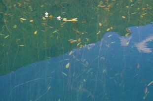 俯瞰蓝绿交织的自然景观