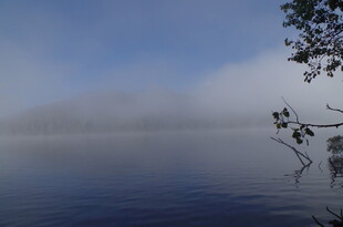 湖畔晨雾中的静谧景致