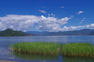 湖畔美景 水草蓝天相映衬