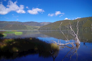 湖畔枯树与蓝天山水美景
